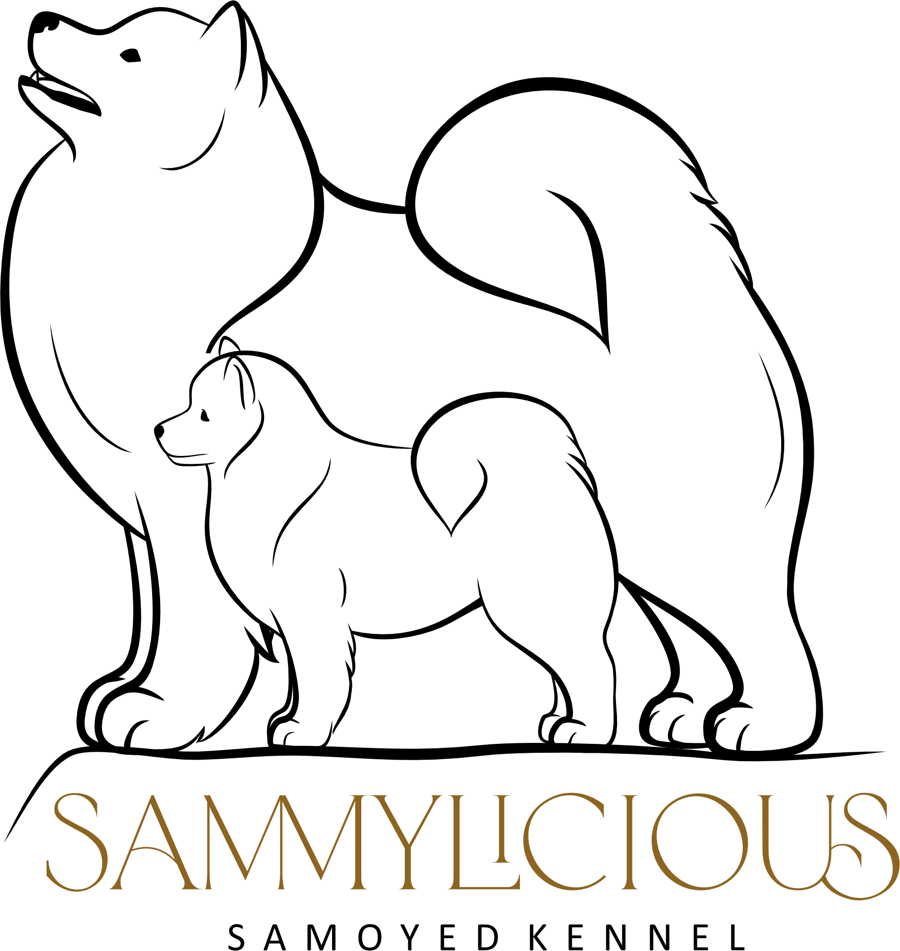 Samojeden Kennel Sammylicious